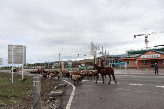 新疆独库公路风光