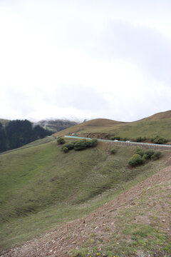 新疆的高山草原