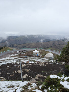 新疆的高山草原