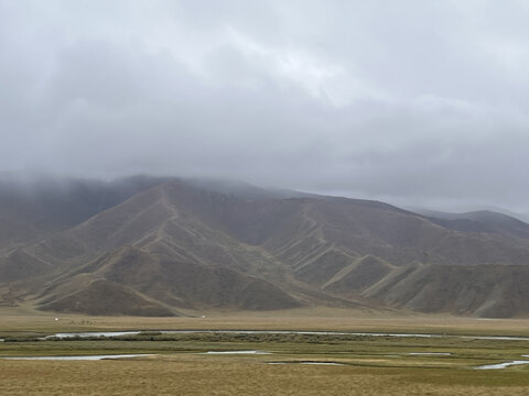 新疆高山草原