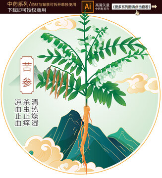 苦參