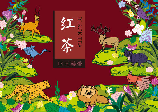 紅茶包裝