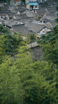 宁波东钱湖院士公园村落