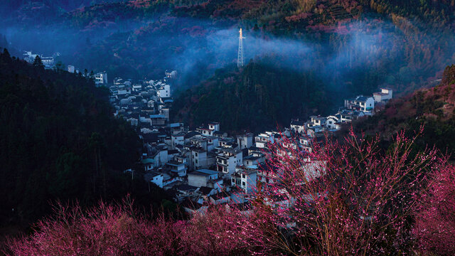 梅开漫山