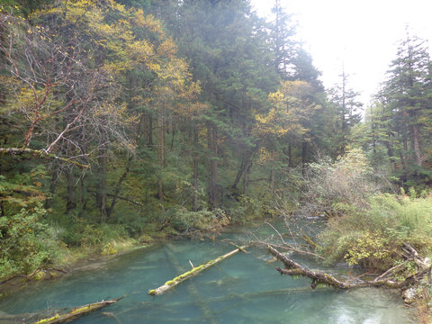 九寨沟风景