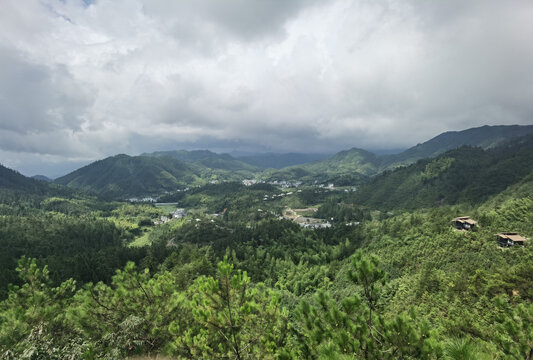 深山树林