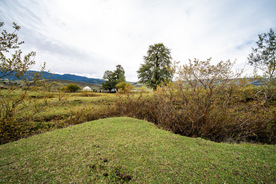 那拉提草原