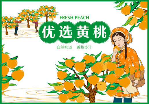 黃桃插畫