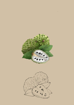 釋迦果