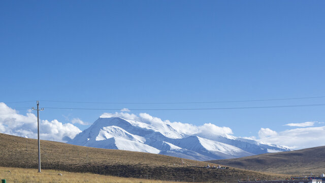 西藏冰山草原