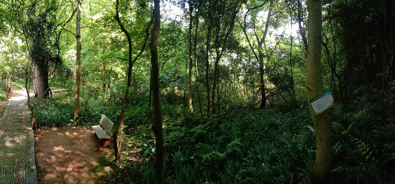 新余仙女湖景区