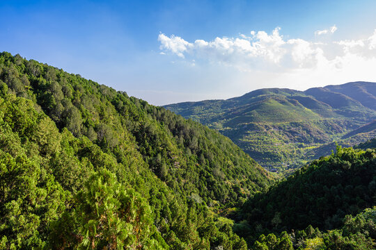 青山