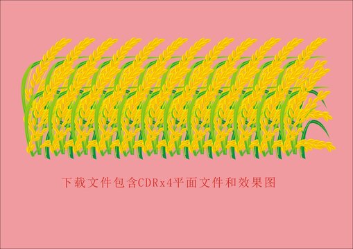 矢量植物小麥水稻大米
