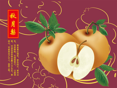 秋月梨包裝插畫