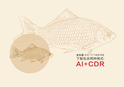 鯽魚