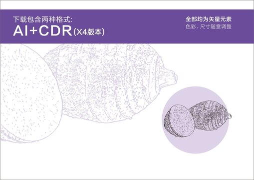 芋头手绘芋头线描