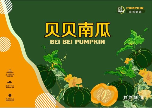 貝貝南瓜包裝插畫