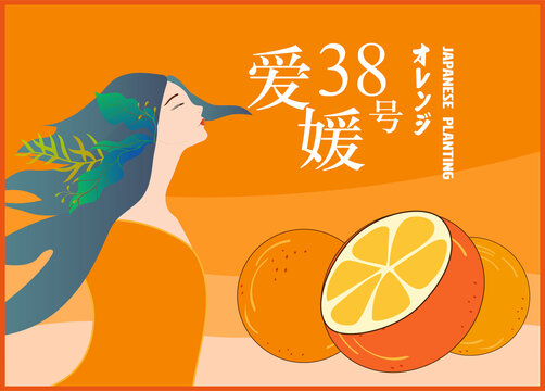 愛(ài)媛果凍橙