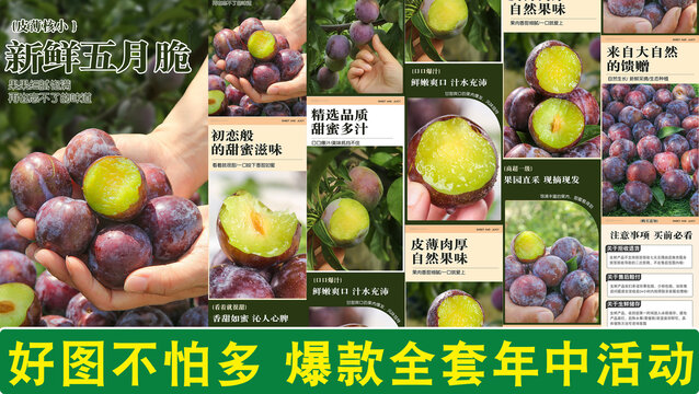 五月脆詳情頁