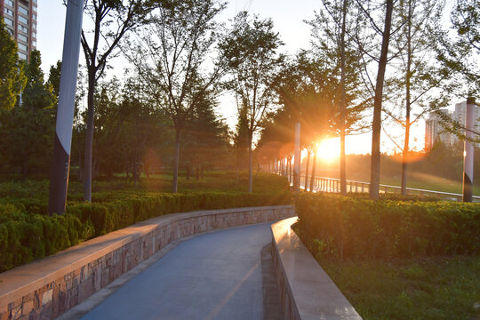 公园的晨光