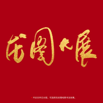 龍圖大展書法毛筆字設(shè)計