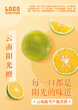 陽光橙海報(bào)