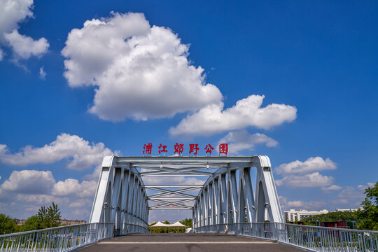 上海浦江郊野公园大桥