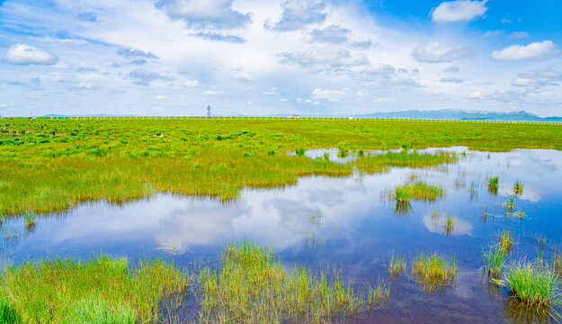 花湖湿地