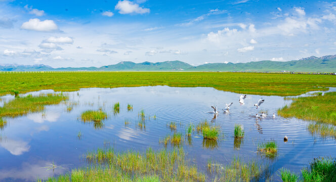 花湖湿地