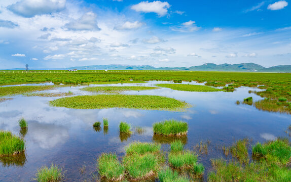 花湖湿地