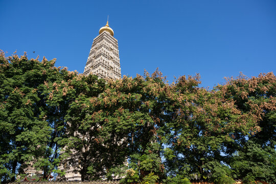 龙兴寺