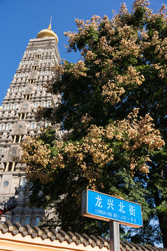 龙兴寺