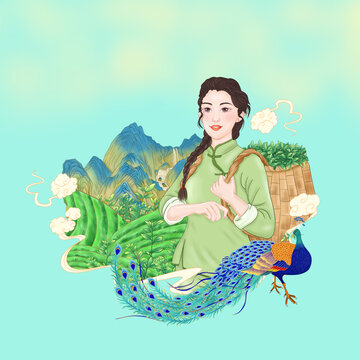 采茶插畫