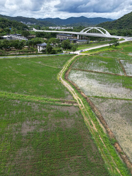 田间道路