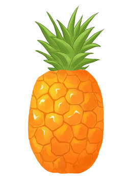 菠蘿水果插畫(huà)