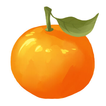 橘子水果插畫