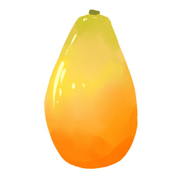 木瓜水果手繪插畫(huà)