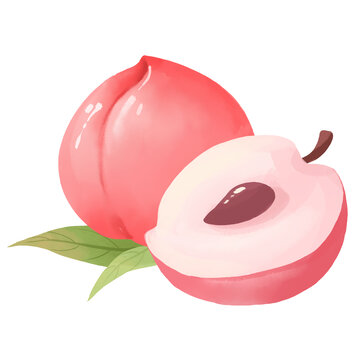 桃子手繪插畫