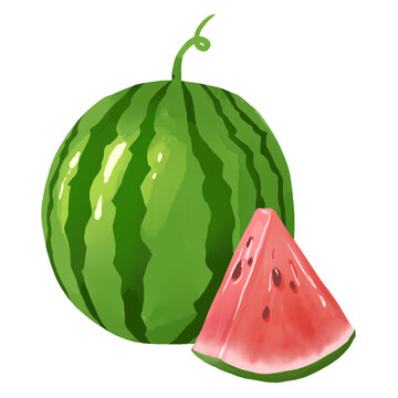 元素西瓜手繪插畫