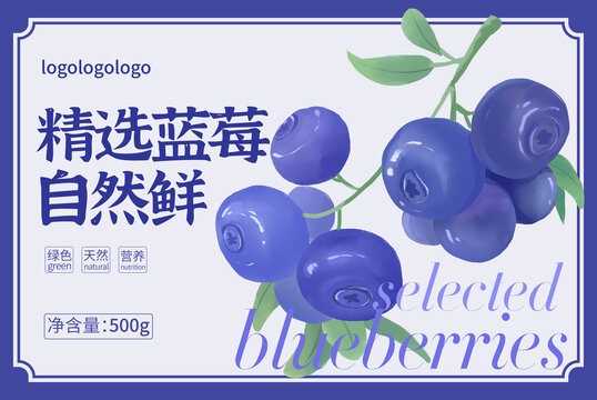 藍莓包裝手繪插畫