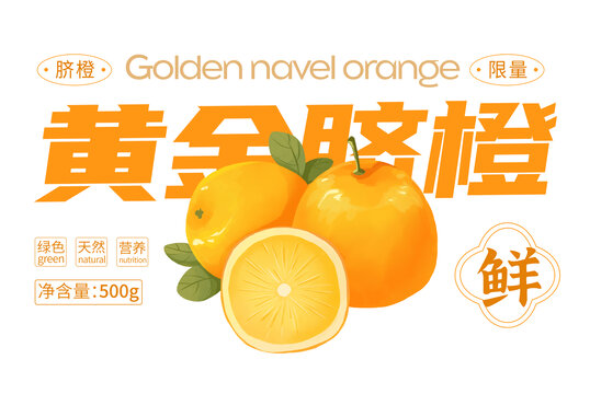 橙子包裝手繪插畫