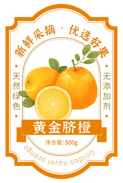 橙子包裝手繪插畫