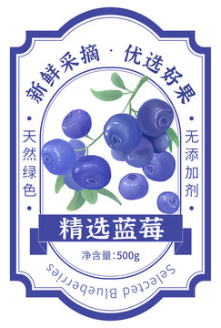 藍莓包裝手繪插畫