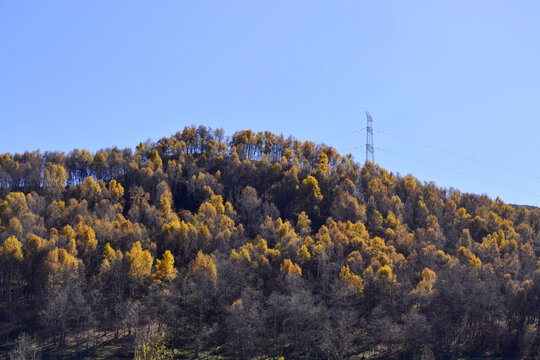 秋山景韵