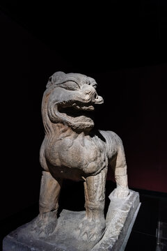 中国西安碑林博物馆唐代石狮