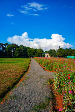 鲜花主题公园