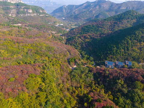 济南八里峪红叶