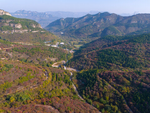 济南八里峪红叶