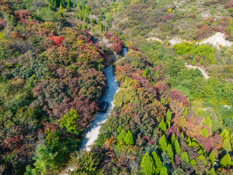 济南八里峪红叶