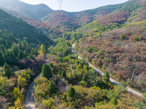 济南八里峪红叶